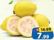 Guava Egypt