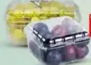 Grape White / Plums