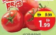 Tomato