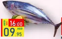 Tuna