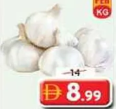 Garlic China