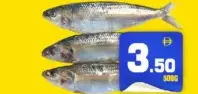 Fresh Sardines (No Cleaning)