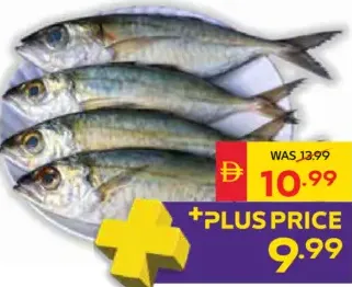 سمك ماكريل بيج آي طازج