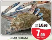 Crab
