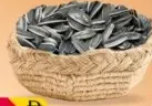 Sunflower Seed