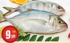 Kaduvapparra Fish
