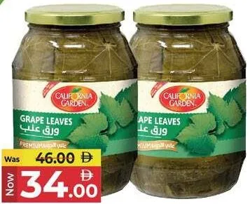 California Garden Grape Leaves N Brine