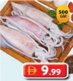 Squid Big