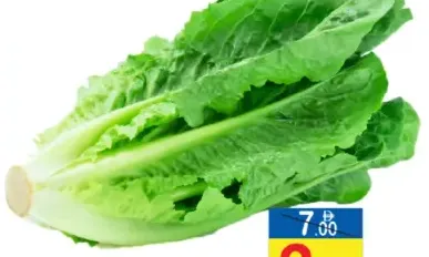 خس