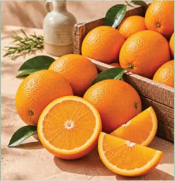Orange Cambria