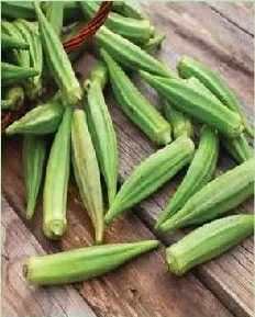 بامية - عمان