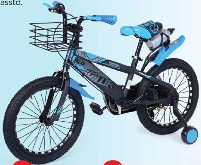 Bicycle Assorted