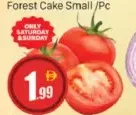 Tomato Iran