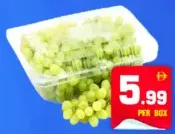 Grapes