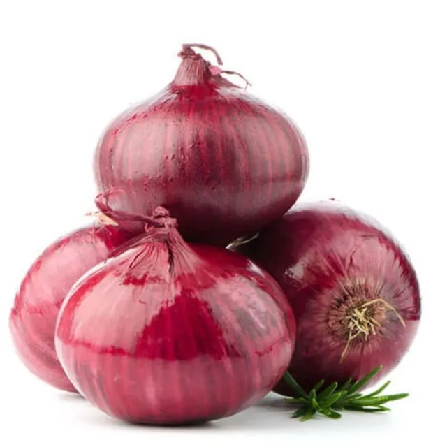 Onion India