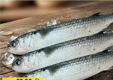 Fresh Biya (Mullet) Big
