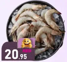 Shrimps