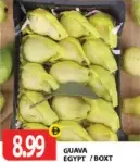 جوافة مصرية