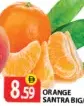 Orange Santra Big