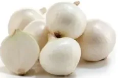 بصل أبيض