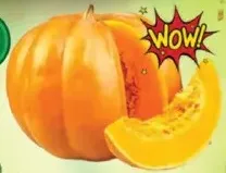 Pumpkin Yellow
