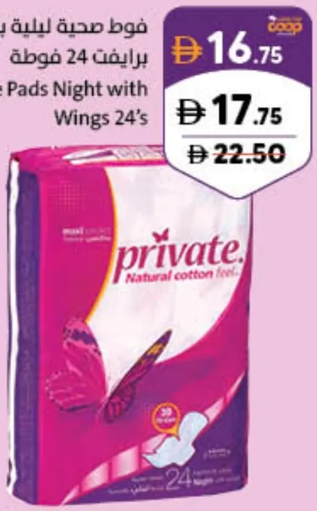 Private Pads Night with Wings