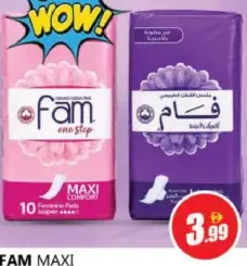 Fam Maxi Pads Assorted