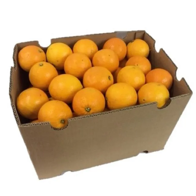 Kibsons Cambria Navel Oranges