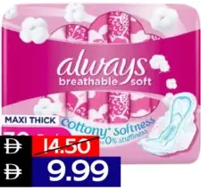 Always فوط صحية قطنية ناعمة ماكسي كبيرة