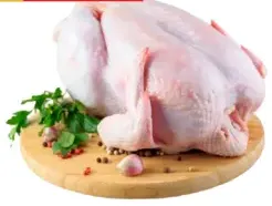 Fresh Chicken