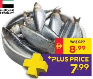 Fresh Sardine
