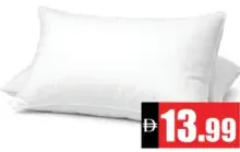 Pillow 2In1 Combo