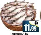 Pankash Fish