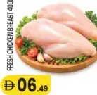 Fresh Chicken Breast