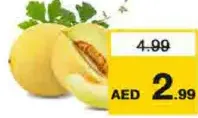 شمام حلو هندي