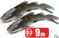 Mushu Fresh Fish