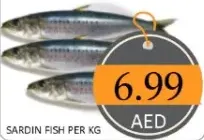 Sardin Fish