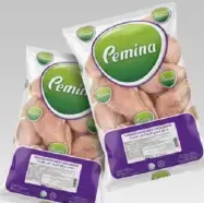 Pemina صدر دجاج مطري