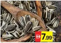 Sunflower Seed