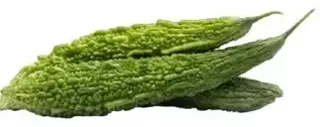 Bitter Gourd