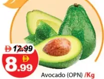 Avocado (Opn)
