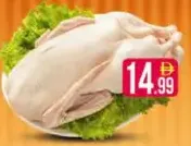 بط