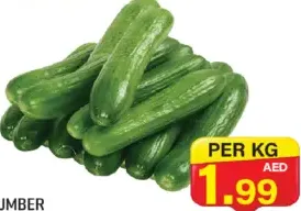 Cucumber