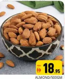 لوز امريكي