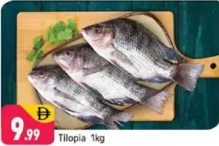 سمك البلطي tilopia