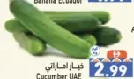 خيار بالكيلو