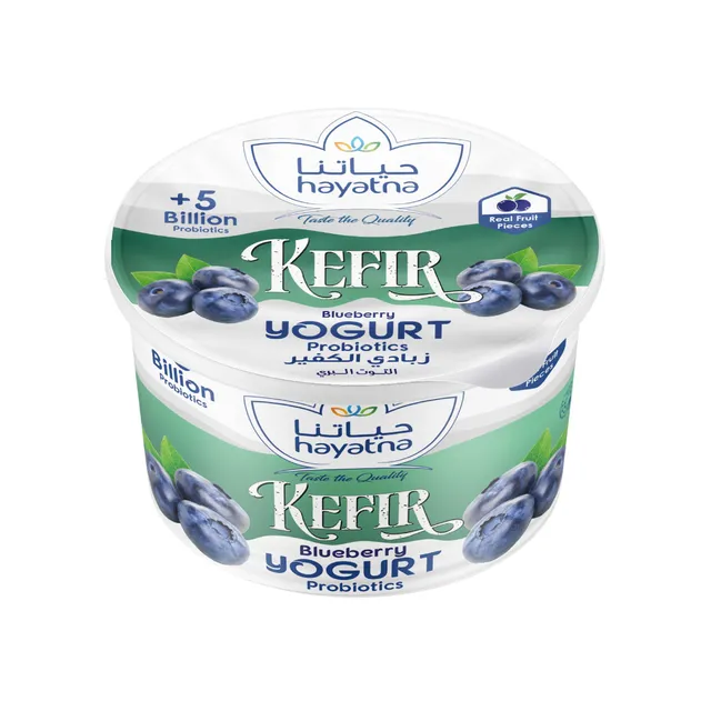 Hayatna Kefir Blueberry