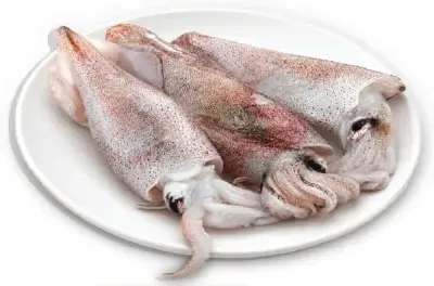 حبار