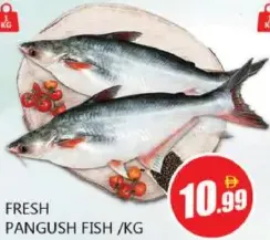 Fresh Pangush Fish