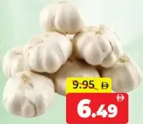 Garlic China